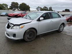 Salvage cars for sale from Copart Hayward, CA: 2013 Toyota Corolla Base