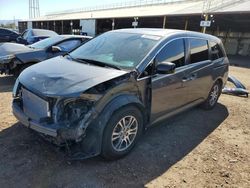 Salvage cars for sale at Phoenix, AZ auction: 2013 Honda Odyssey EXL