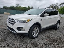 Salvage cars for sale from Copart Riverview, FL: 2017 Ford Escape SE