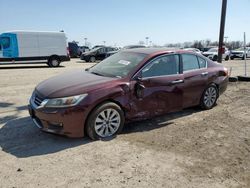 Honda Accord EXL salvage cars for sale: 2013 Honda Accord EXL