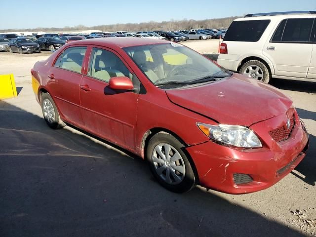 2010 Toyota Corolla Base