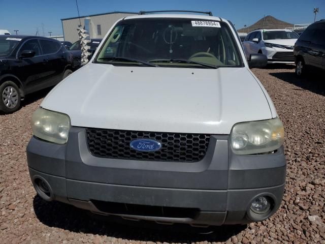 2005 Ford Escape XLT