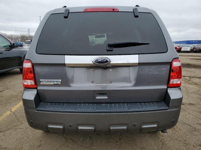 2010 Ford Escape Limited