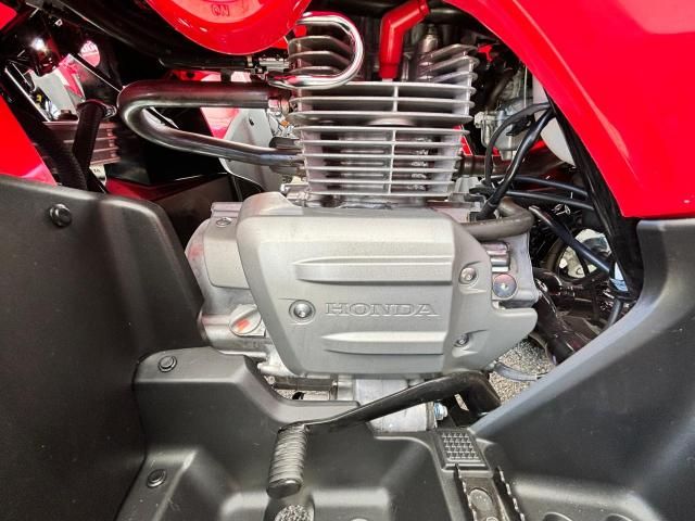 2021 Honda TRX250 TM