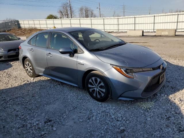 2020 Toyota Corolla LE