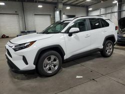 Salvage cars for sale at Ham Lake, MN auction: 2023 Toyota Rav4 XLE