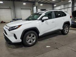 Toyota Rav4 XLE salvage cars for sale: 2023 Toyota Rav4 XLE