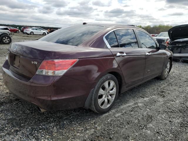 2010 Honda Accord EXL