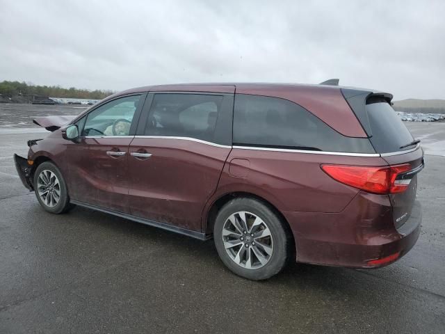 2021 Honda Odyssey EXL