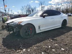 Vehiculos salvage en venta de Copart New Britain, CT: 2021 KIA Stinger GT1