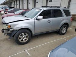 2009 Ford Escape Limited for sale in Louisville, KY