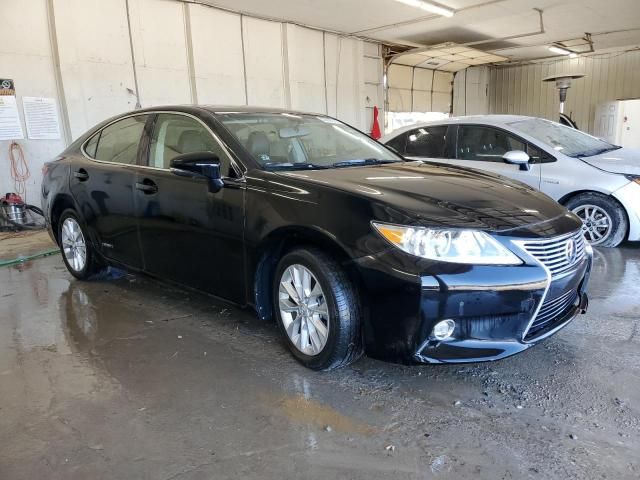 2014 Lexus ES 300H