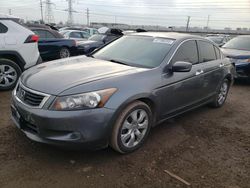 Salvage cars for sale at Elgin, IL auction: 2009 Honda Accord EXL