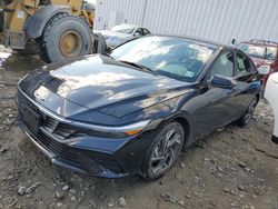 Salvage cars for sale at Windsor, NJ auction: 2024 Hyundai Elantra SEL