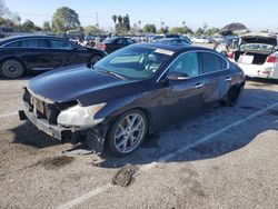 Salvage cars for sale at Van Nuys, CA auction: 2010 Nissan Maxima S