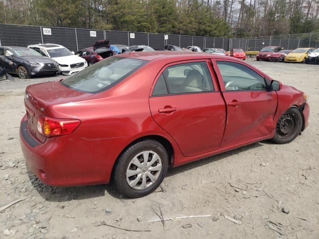 2009 Toyota Corolla Base