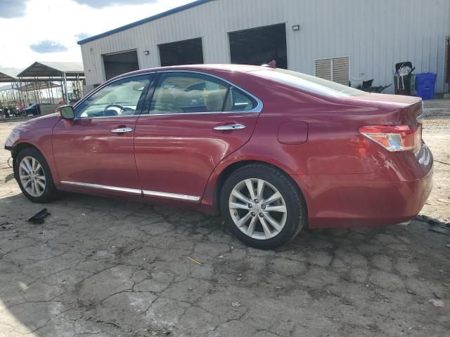 2010 Lexus ES 350