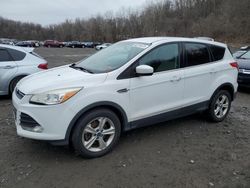 Salvage cars for sale from Copart Marlboro, NY: 2014 Ford Escape SE