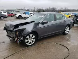 Salvage cars for sale at Louisville, KY auction: 2008 Honda Accord EXL