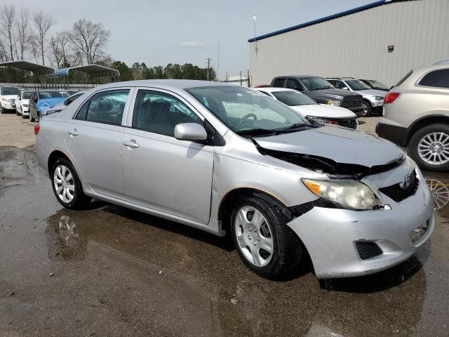 2010 Toyota Corolla Base