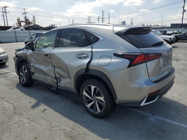 2021 Lexus NX 300H Base