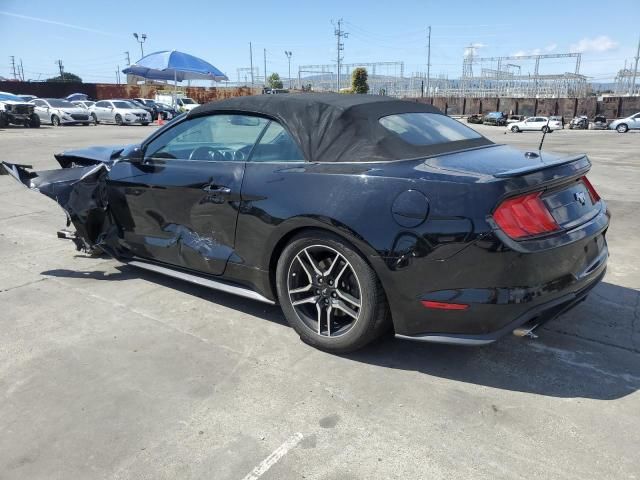 2019 Ford Mustang