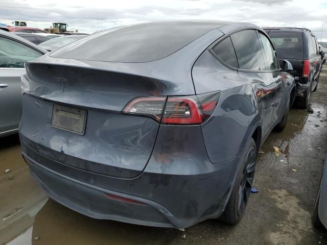 2020 Tesla Model Y