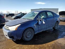 Salvage cars for sale from Copart Rocky View County, AB: 2008 Ford Focus SE