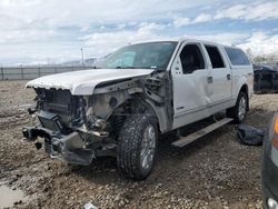 Salvage cars for sale at Magna, UT auction: 2012 Ford F150 Supercrew