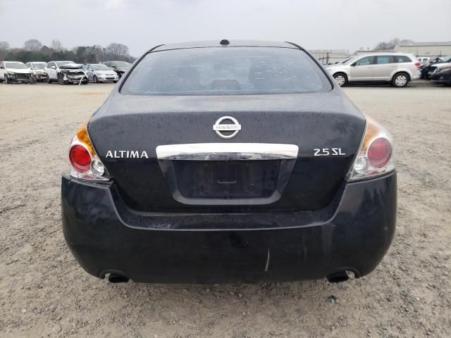 2010 Nissan Altima Base