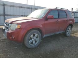 Salvage cars for sale at Mercedes, TX auction: 2012 Ford Escape Limited