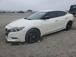Salvage cars for sale at Earlington, KY auction: 2016 Nissan Maxima 3.5S