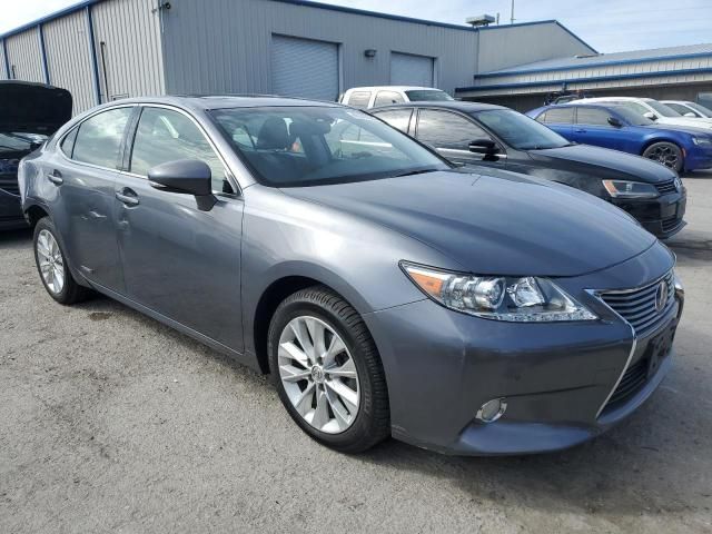 2013 Lexus ES 300H