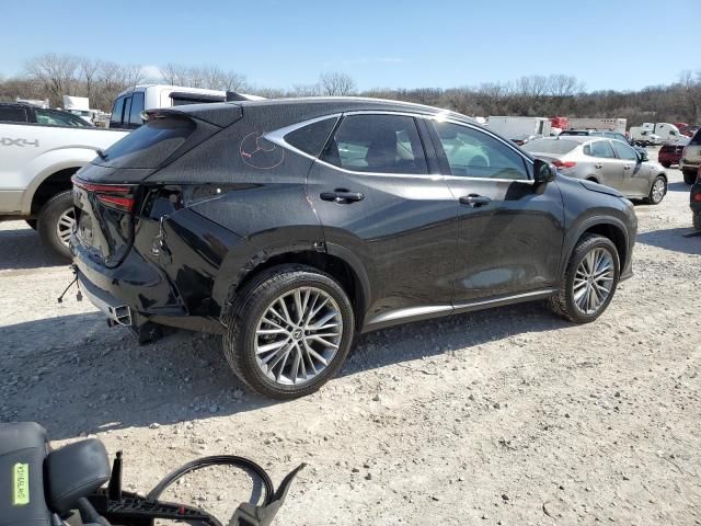 2023 Lexus NX 350