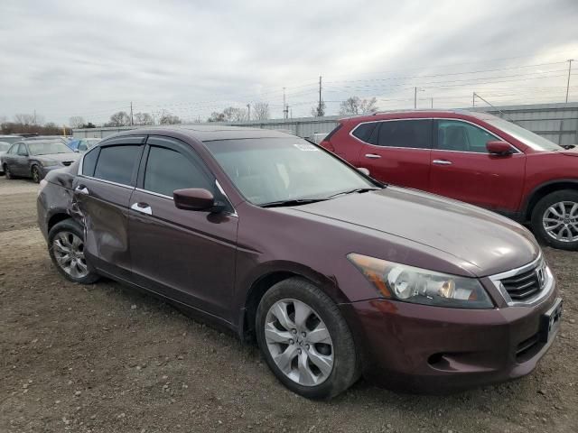 2010 Honda Accord EXL