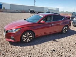 Salvage cars for sale from Copart Phoenix, AZ: 2019 Nissan Altima SV