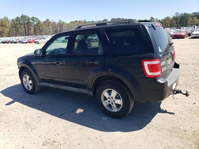 2010 Ford Escape XLT