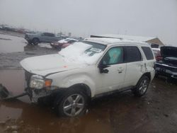 Vehiculos salvage en venta de Copart Brighton, CO: 2011 Ford Escape Limited