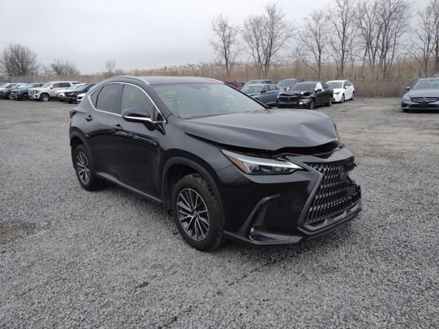 2022 Lexus NX 250