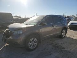 Honda Vehiculos salvage en venta: 2014 Honda CR-V EXL