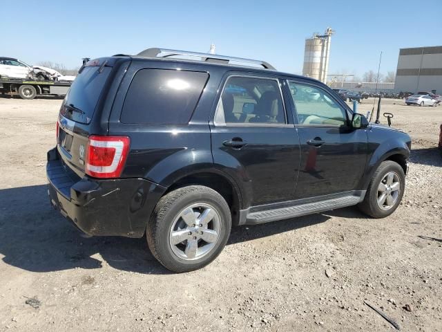 2010 Ford Escape Limited