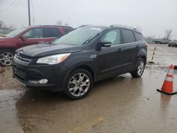 Salvage cars for sale at Pekin, IL auction: 2014 Ford Escape Titanium
