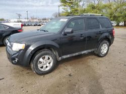 Salvage cars for sale at Lexington, KY auction: 2011 Ford Escape Limited