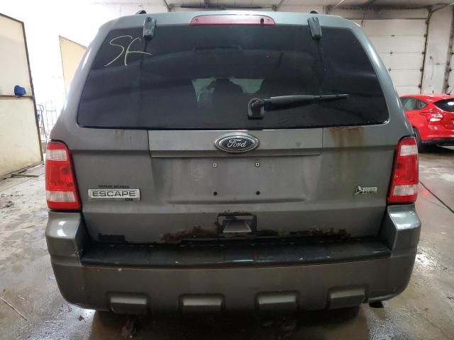 2010 Ford Escape XLT