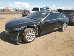 Cadillac ct5 Luxury salvage cars for sale: 2021 Cadillac CT5 Luxury