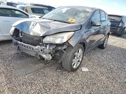 Salvage cars for sale from Copart Tucson, AZ: 2013 Ford Escape SEL