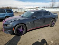 Salvage cars for sale at Columbia Station, OH auction: 2019 Dodge Charger SXT