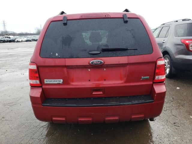 2012 Ford Escape XLT