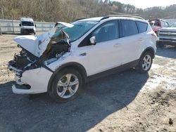 Salvage cars for sale from Copart Hurricane, WV: 2014 Ford Escape SE
