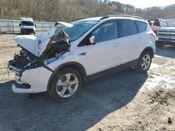 Ford Escape SE Vehiculos salvage en venta: 2014 Ford Escape SE